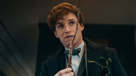 who played newt scamander